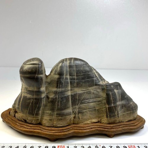 Suiseki bonseki giapponese - bonseki,