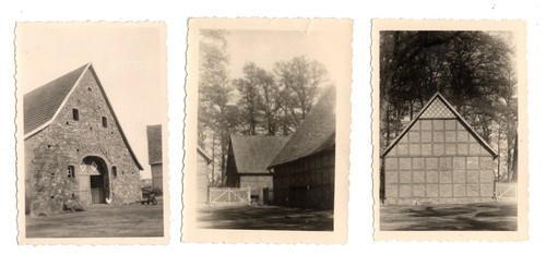Foto cortile tellkamp - 3,