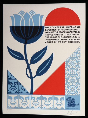 Shepard fairey phenomenology - shepard,