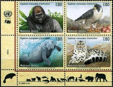 UNPA-Ginevra, compressione