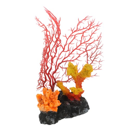 Coralli acquario piante - coralli,