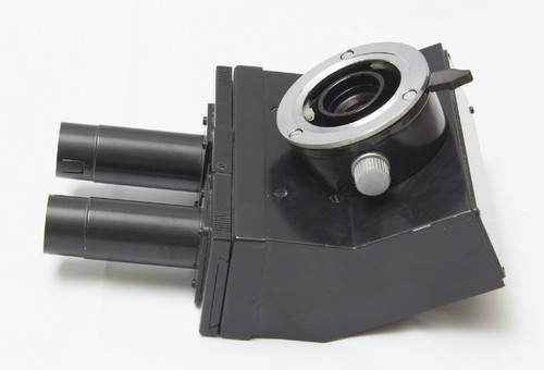 Microscopio testa didattica