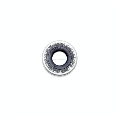 Paraolio piede evinrude - piede,