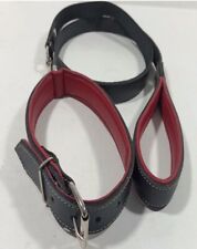 collare e guinzaglio cane da