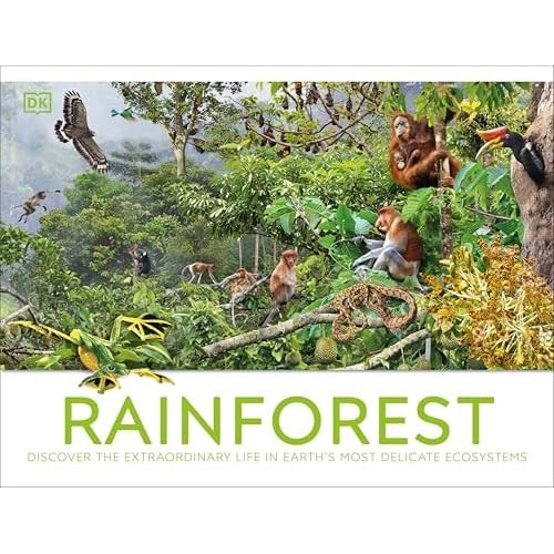 Rainforest new dk 2025 - -,
