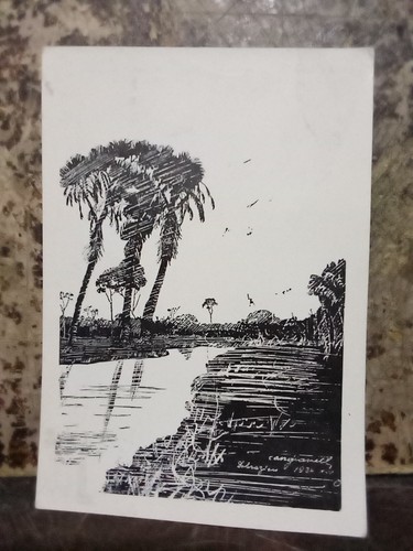 Rara cartolina mostra - rara,