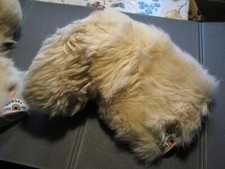 Vintage sci ski doposci original Tecnica seminole modello Moon Boot taglia 39/41