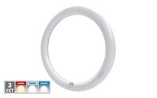 Neon Circolare Trifosforo 19