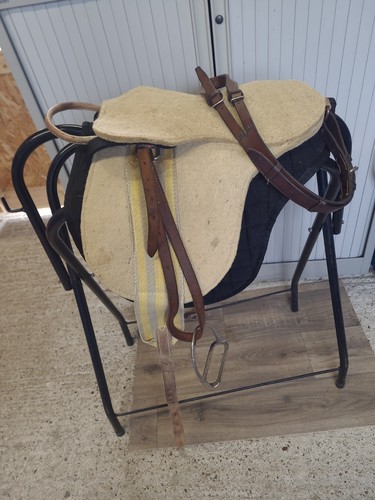 Shetland pony pad sella - pad,
