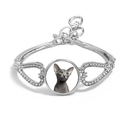 Oriental cat pet silver - cat, colour