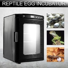 Incubatrice Rettili Reptile
