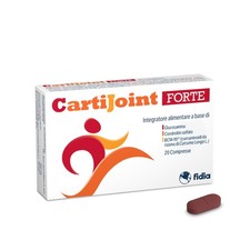 Fidia Farmaceutici CartiJoint