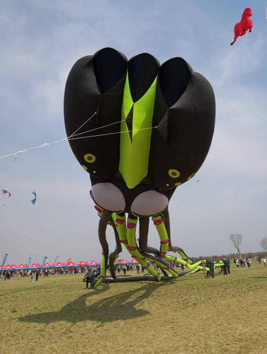 Aquilone polpo gigante - gigante, 12m
