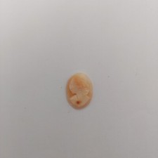 Cammei Camei Cameo Conchiglia