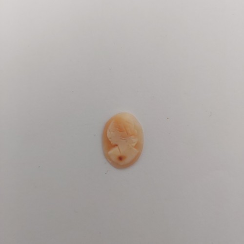 Cammei camei cameo conchiglia - cameo,