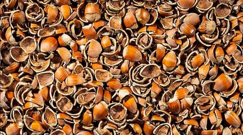 Gusci nocciole per - nocciole, o