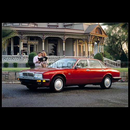 Photo 025638 jaguar - photo,