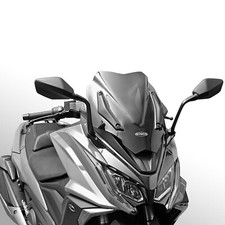 Cupolino parabrezza fume