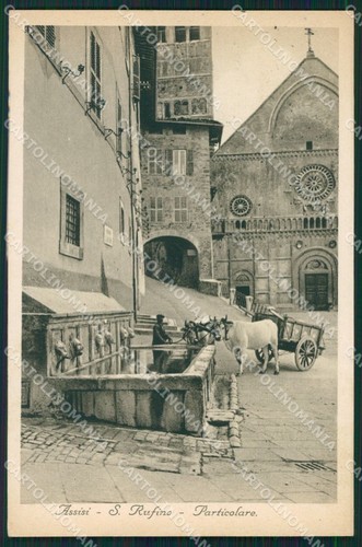 Perugia assisi carro - assisi, buoi