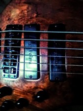 Pollice di Warwick NT6 1990