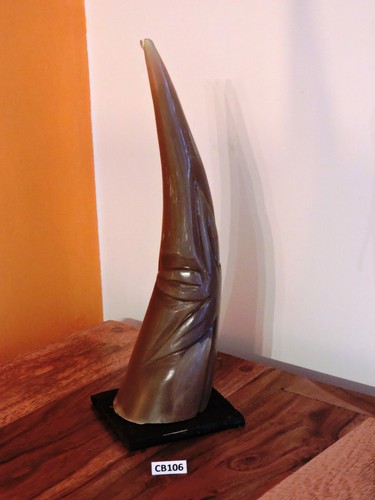 Corno bue africano originale - corno,