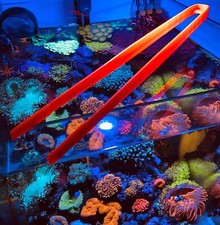 Tweezer pinza acquario - x-tweezer,