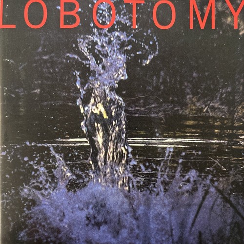 Lobotomy 1995 - -, used
