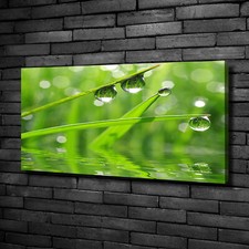 Tulup Canvas Print Wall Art
