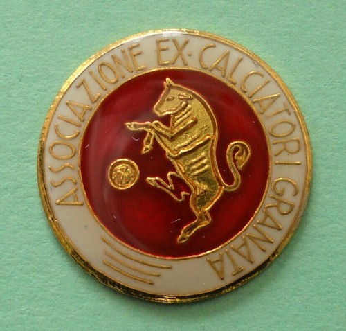 Distintivo spilla pin badge - badge,