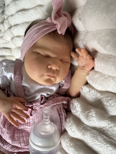 Splendida harriet reborn - splendida,