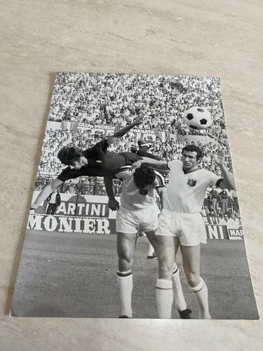 Fotografia paolo pulici - paolo,