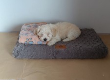 Cuccia Cane e Gatto Deluxe