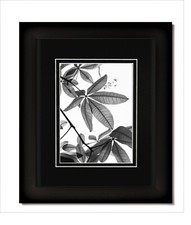 Telaio 14x18 nero opaco con