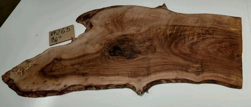 Bastogne walnut slab - walnut,