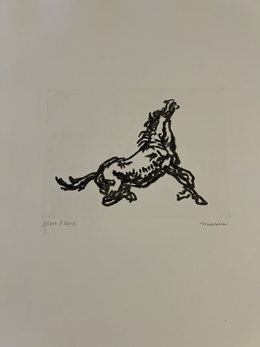 Francesco messina cavallo - cavallo,