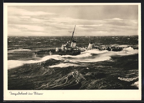 Torpediniera tempesta - ak, in