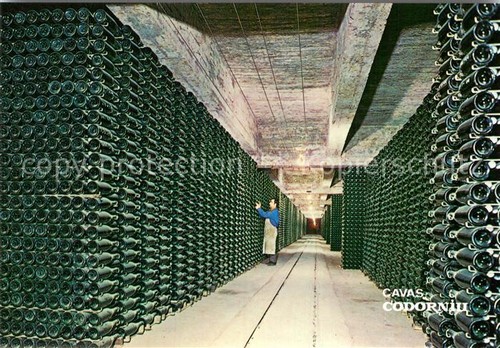 Cavas codorniu botellas - cavas,