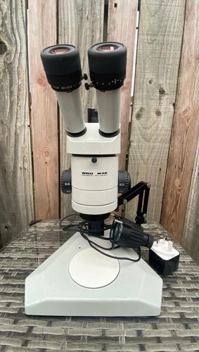 Wild heerbrugg m3z microscopio - wild,