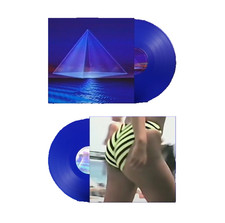 骨架的 "Holograms" Vinyl