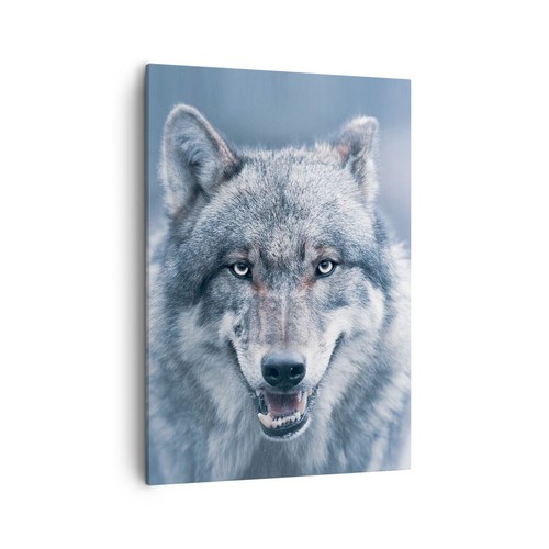 Quadro tela 50x70cm - su, lupo