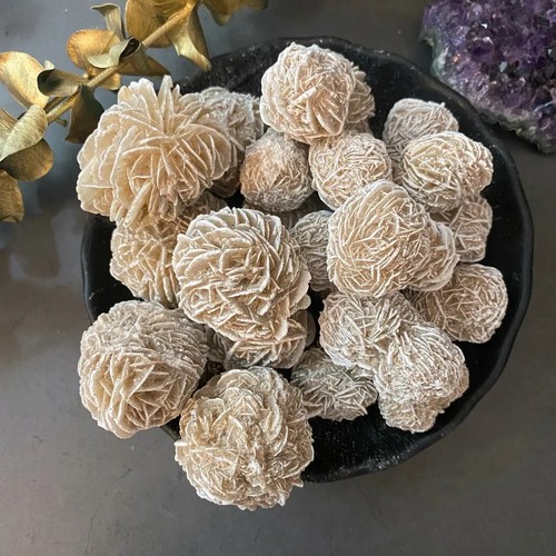 Rosa del deserto messicano - del,