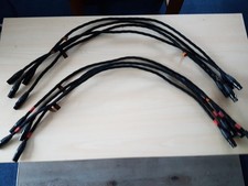 VOVOX Escelsus 1M XLRm XLRf X 8