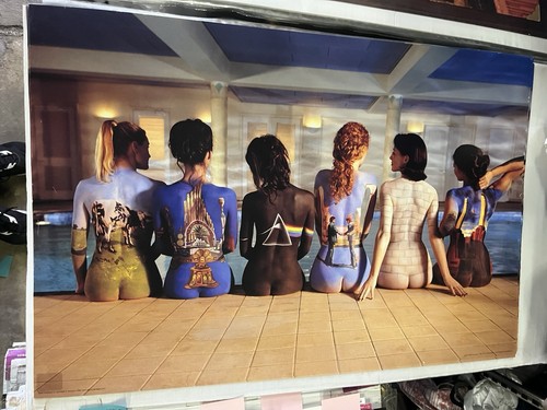 Pink floyd back - pink, 24x36