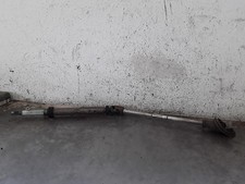 CANNA DELLO STERZO (PIANTONE)