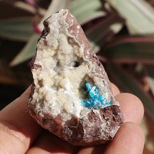 AAA+ Cavansite su matrice