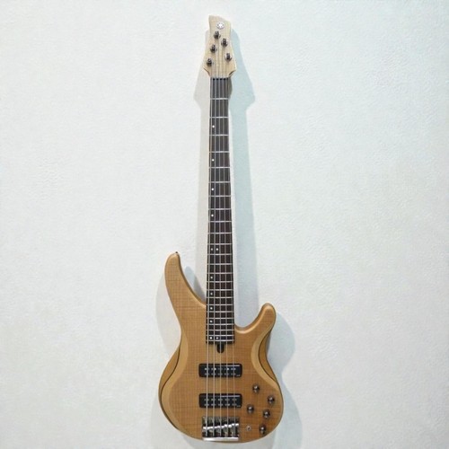 Basso elettrico usato corde - elettrico, 5