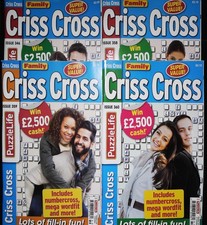 4 X Criss Cross Puzzle Book