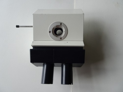 Leica dm2000 microscopio testa - leica,