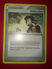 Pokemon Card Fieldworker Ex