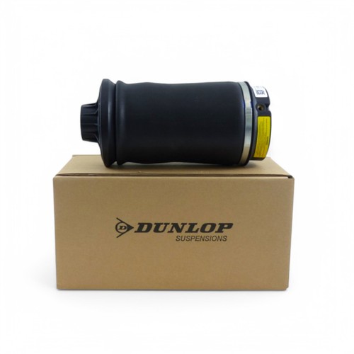 Molla pneumatica dunlop - molla,
